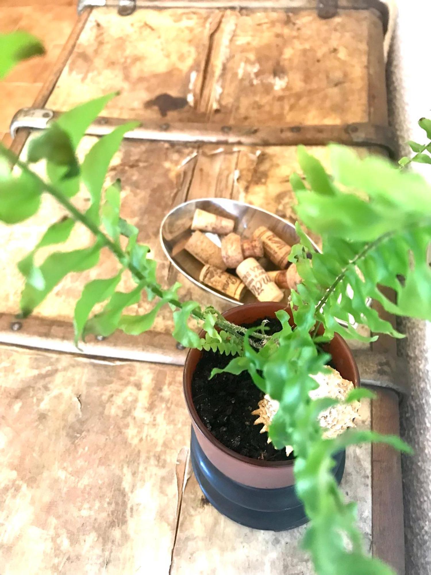 Enam Room Kojsko 外观 照片
