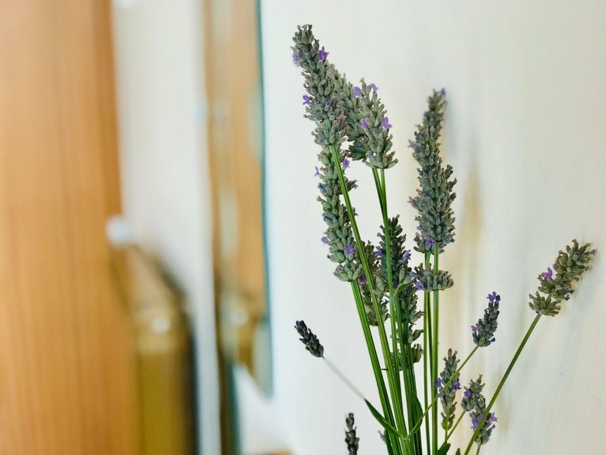 Enam Room Kojsko 外观 照片